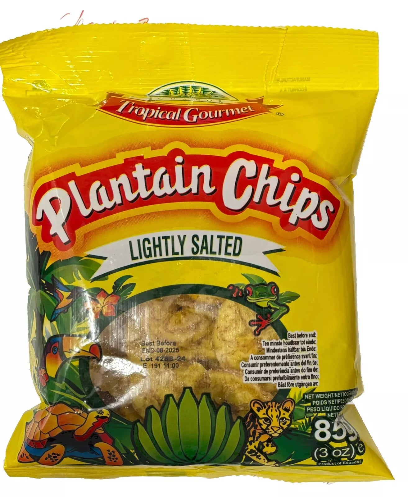 Plantain Bananen Chips Leicht gesalzen 20x 85g